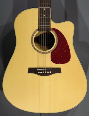 Seagull Artist LTD EQ Tuxedo Black w/TRIC Case Seagull Artist LTD EQ Tuxedo Black w/TRIC Case