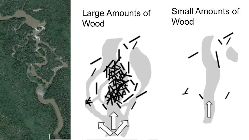 2025 Invisible Forces (1).jpg