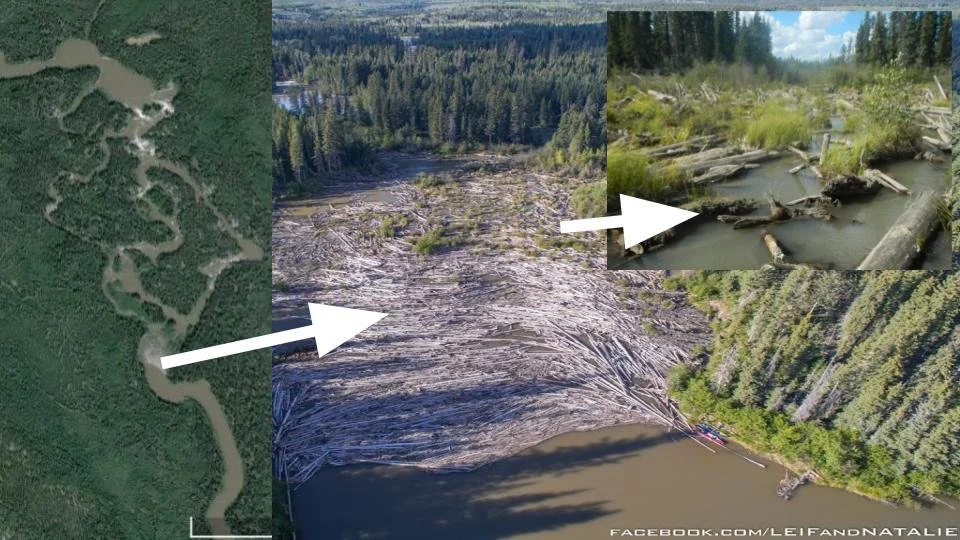 Untitled presentation (3).jpg