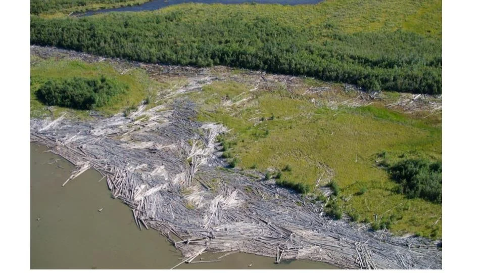 2025 Invisible Forces.jpg