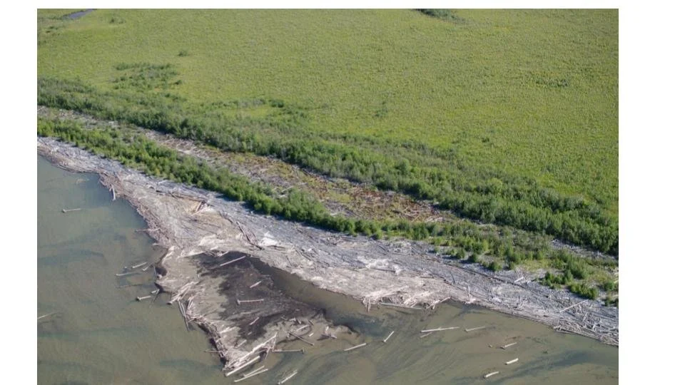 2025 Invisible Forces (4).jpg