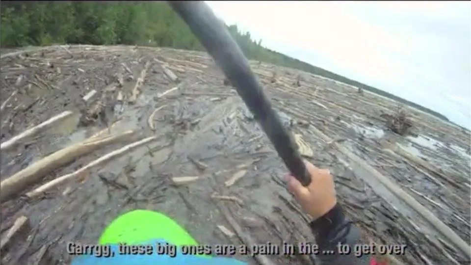 2025 Invisible Forces (2).jpg