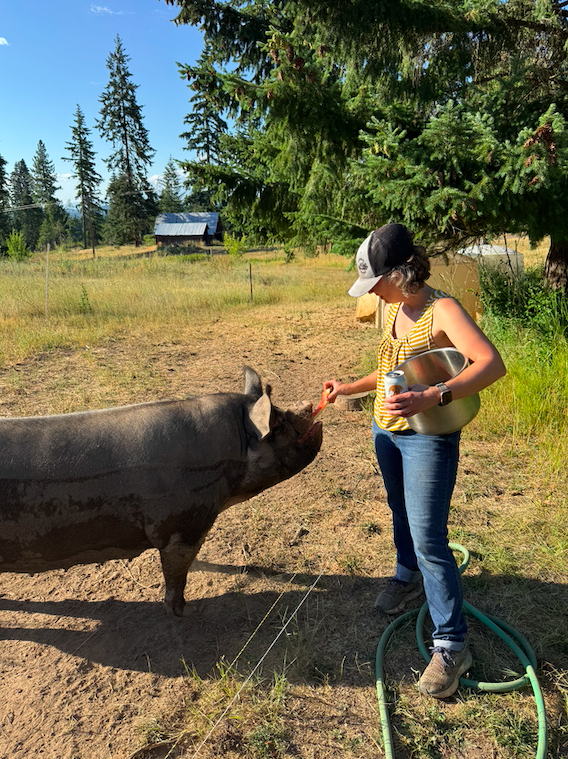 Screen Shot 2026-04-07 at 1.09.03 PM.png