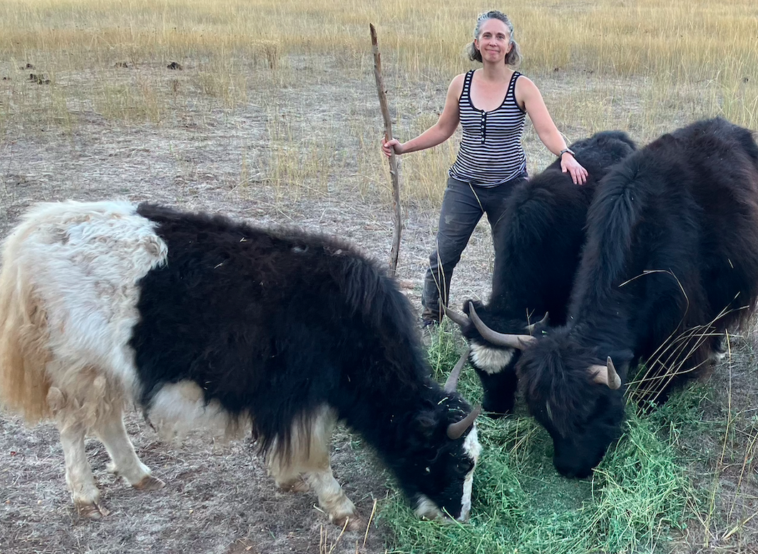 Screen Shot 2026-04-07 at 1.09.17 PM.png