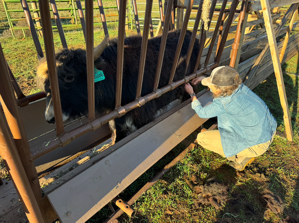 Screen Shot 2026-04-07 at 1.09.30 PM.png