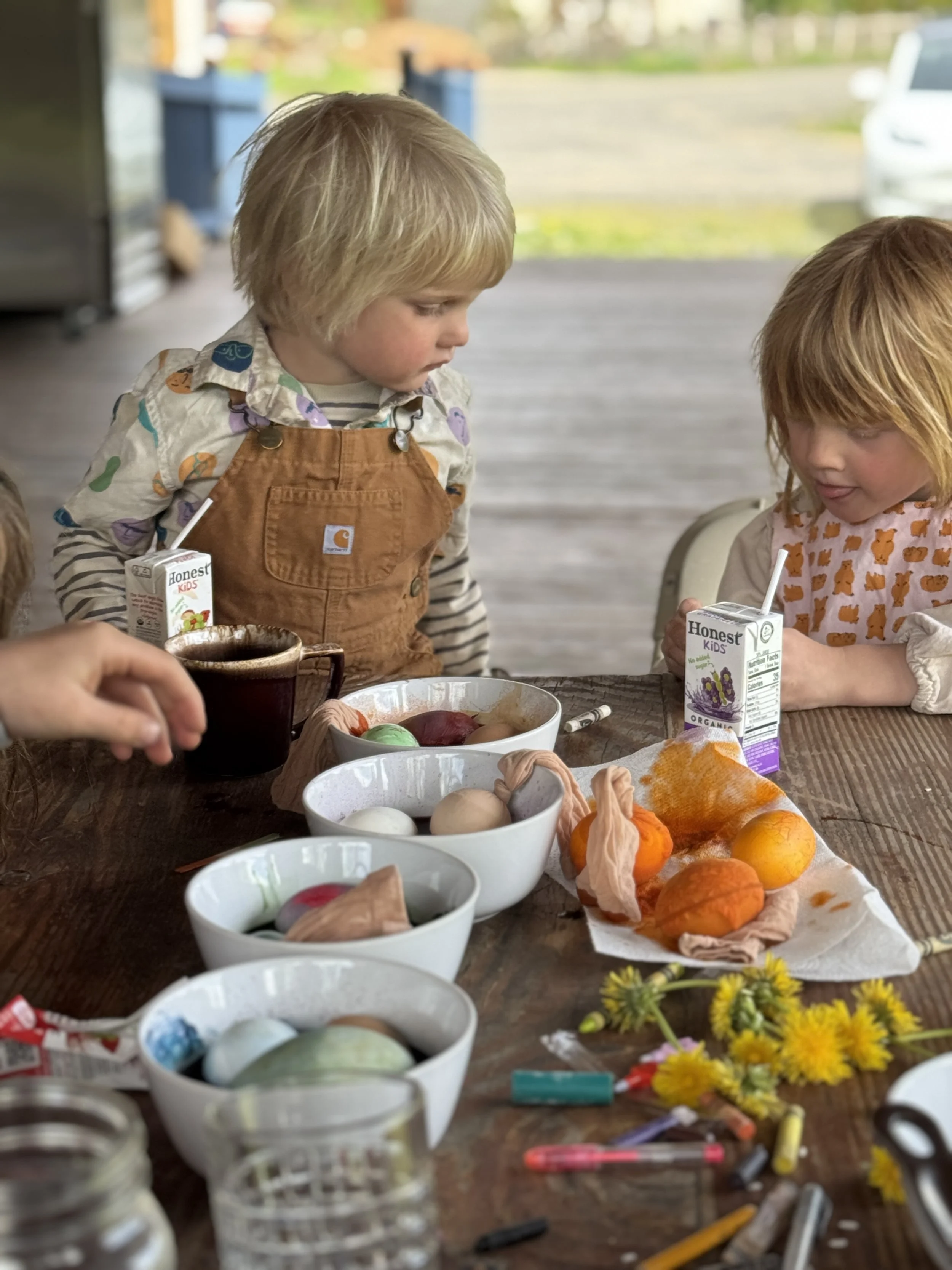 Easter Egg Dying and Hunt