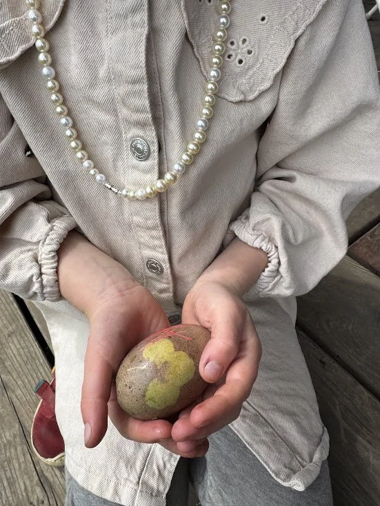 IMG_1515.jpg