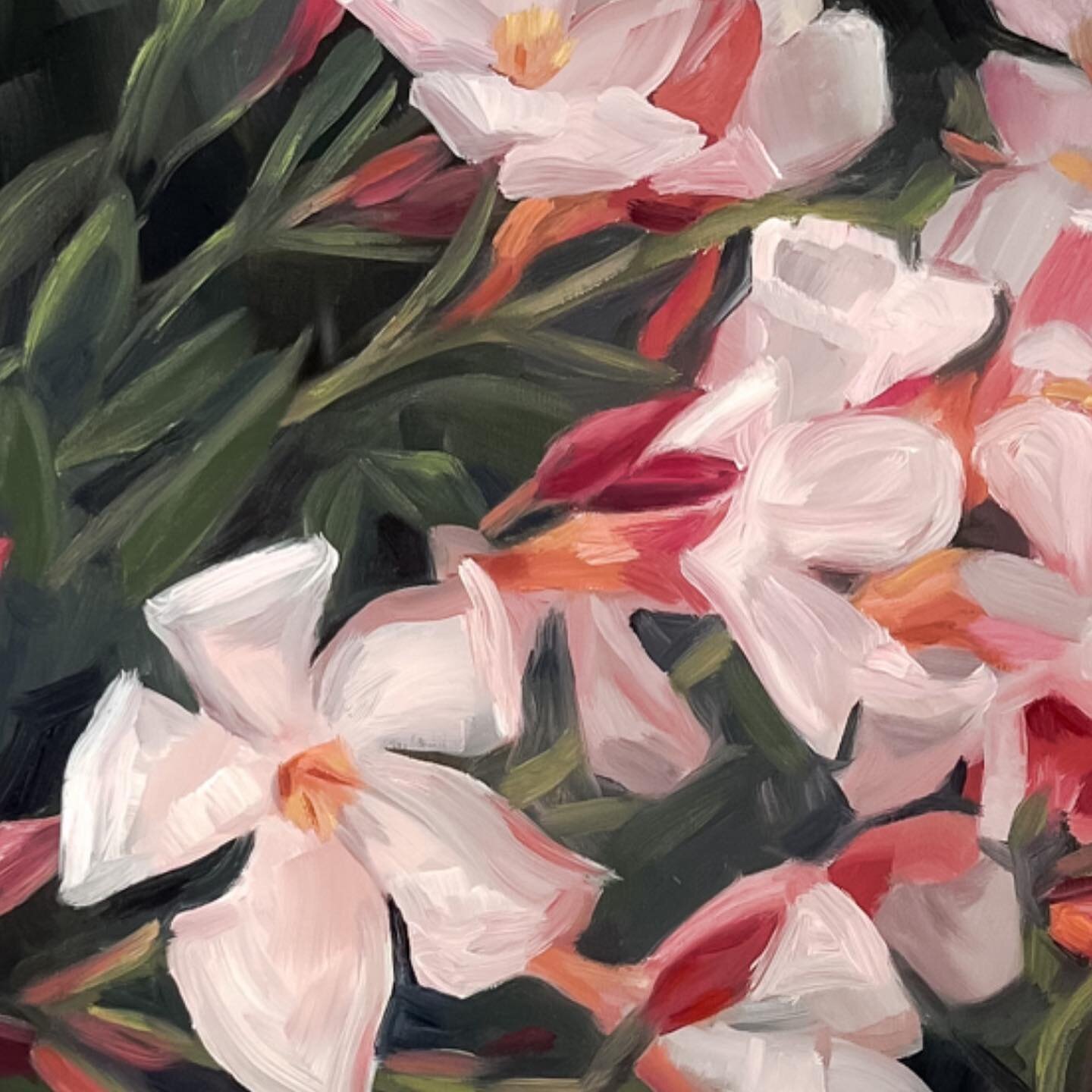 Elegant in the Sunlight is the title of this painting and the entire collection. DM me for details, or see the link in my bio.

Inspiration for this collection began when I was on a trip and cinnamon shores, Texas, and saw beautiful flowers blowing g