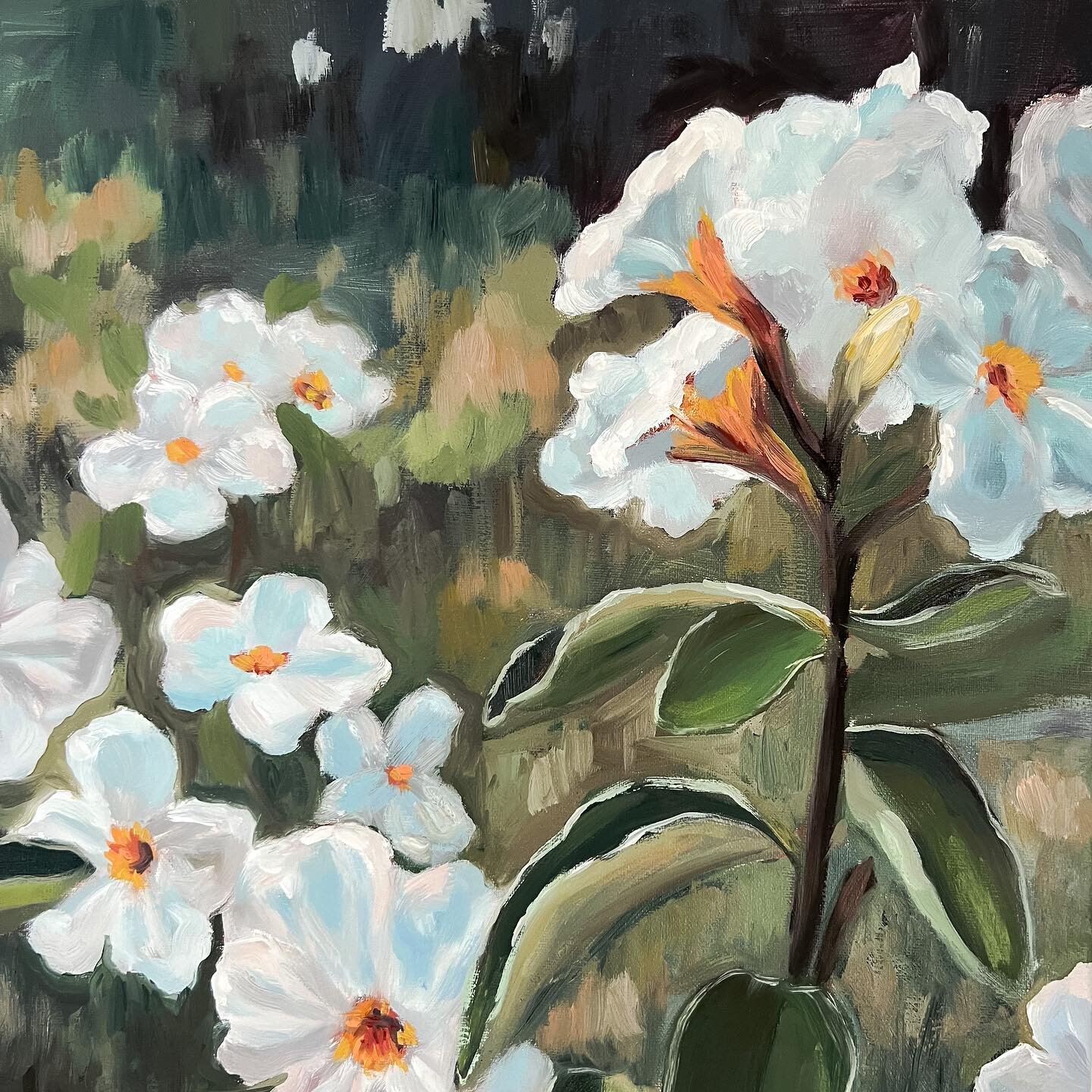 Her Steady Presence was inspired by flowers I saw walking along the eastern shores of #ladybirdlake in Austin this spring. Painting white flowers was an adventure for me since they're anything but white. There's nothing like working through a challen