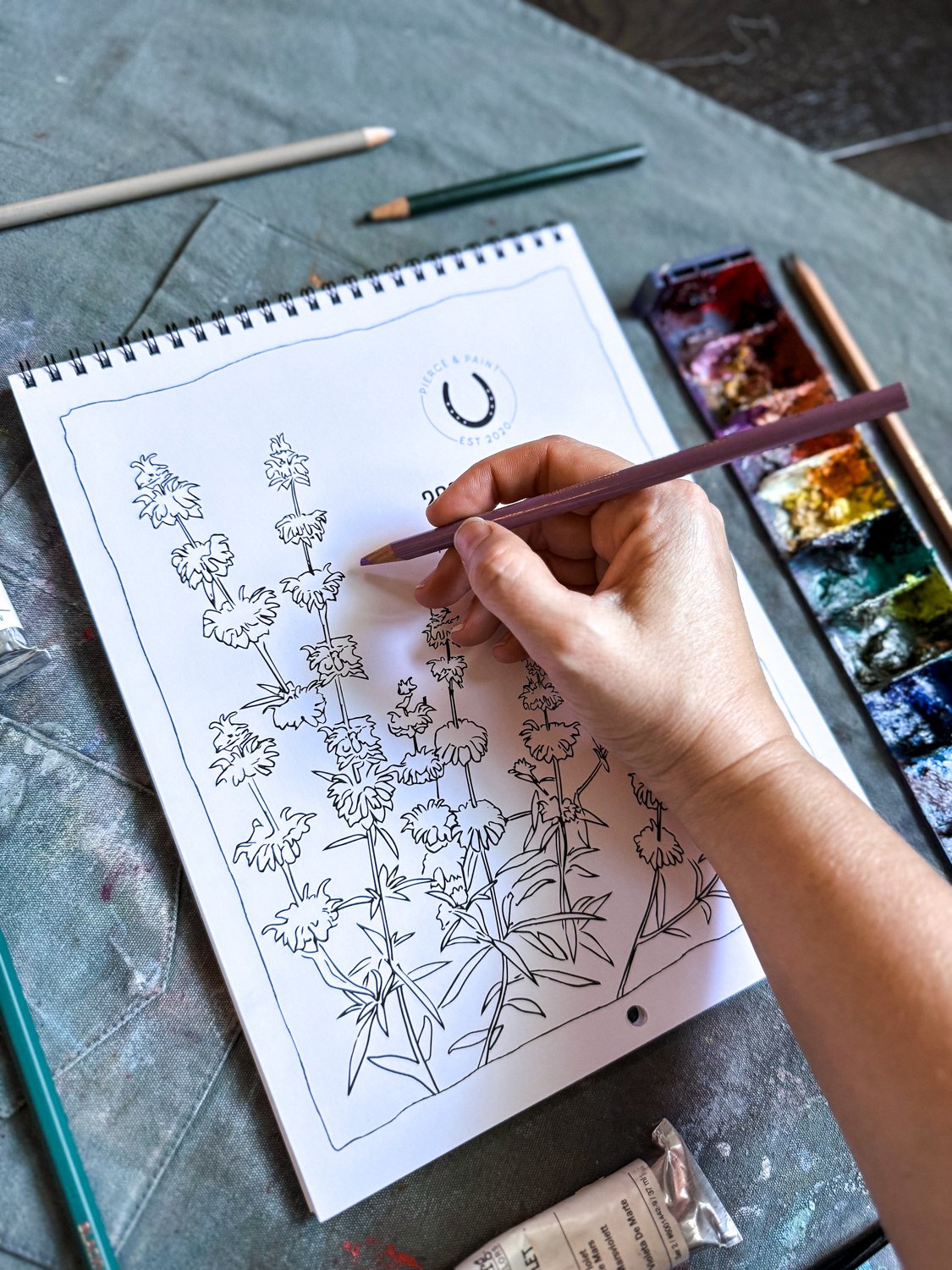 pierce-and-paint-2027-texas-wildflower-creativity-calendar-drawing.jpg