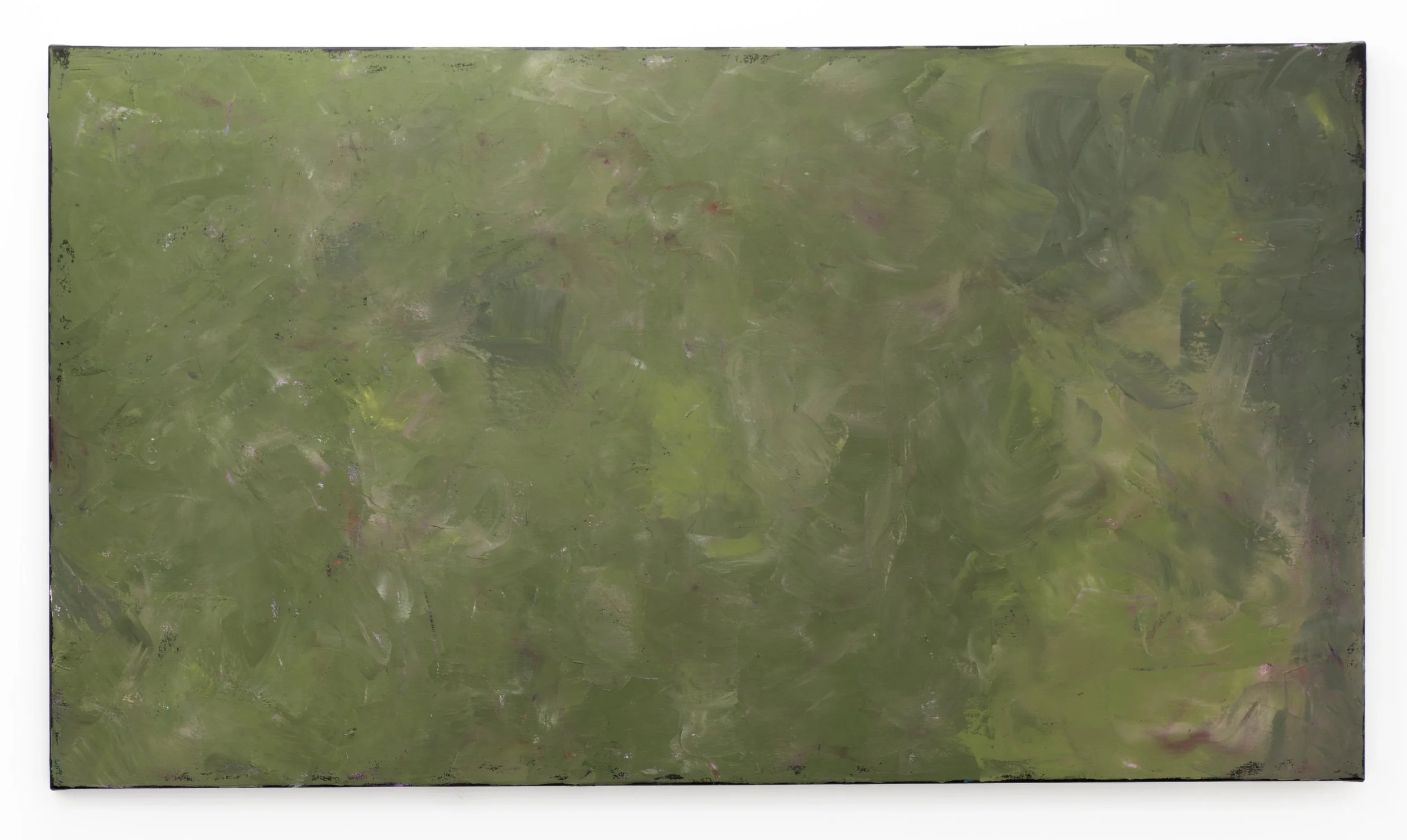  Well Aware,  2025 
Oil on canvas 
91.5 x 163cm