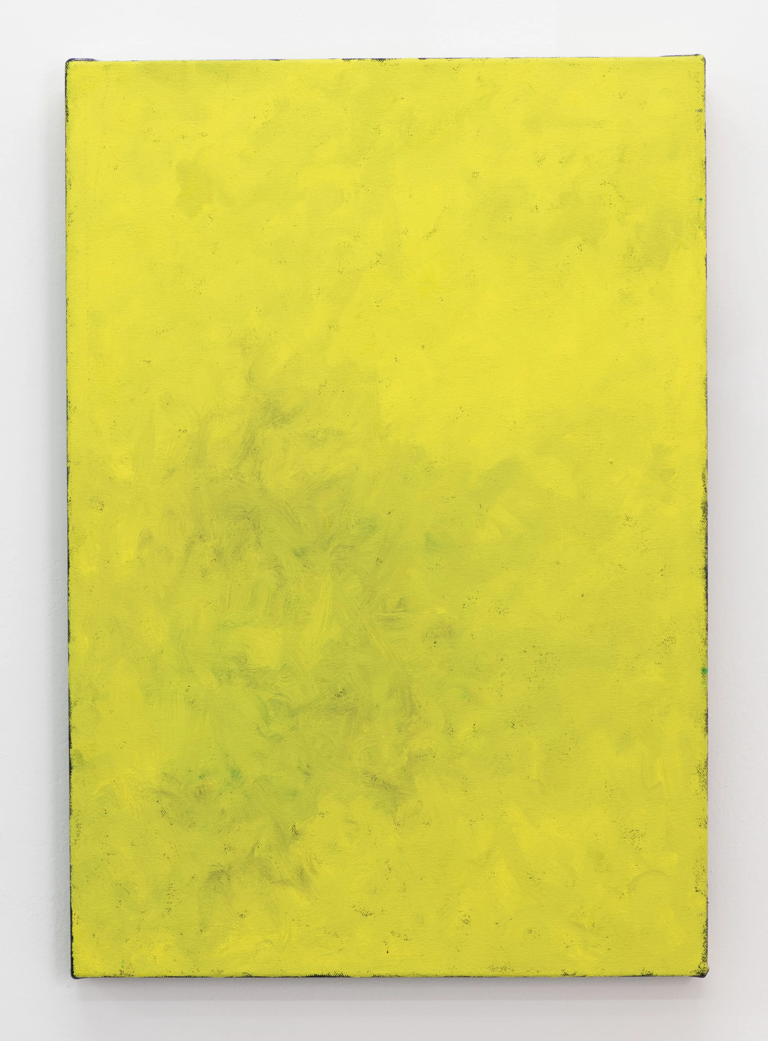  The Price of Milk,  2025 
Oil on canvas 
59 x 41cm
