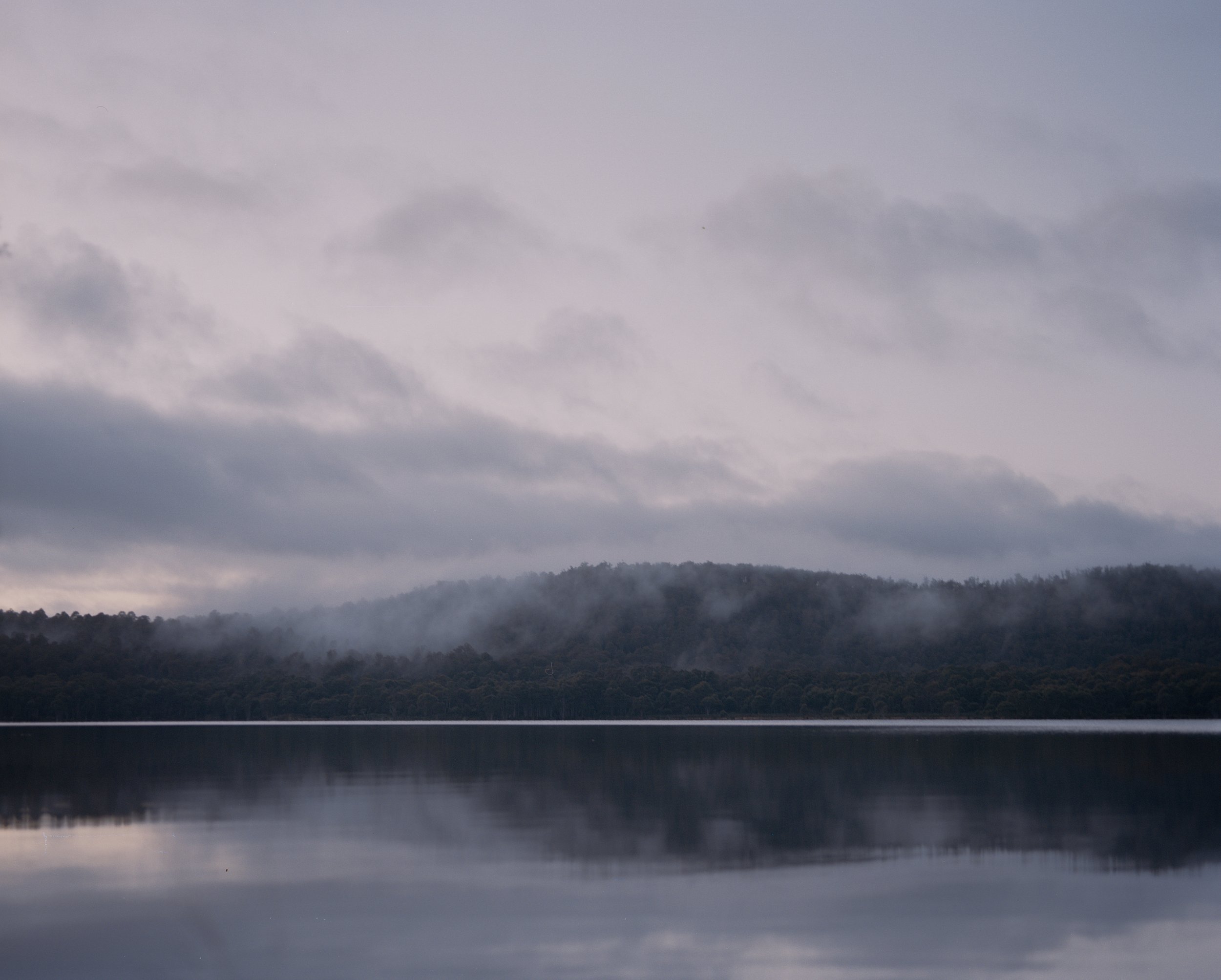 silver morning