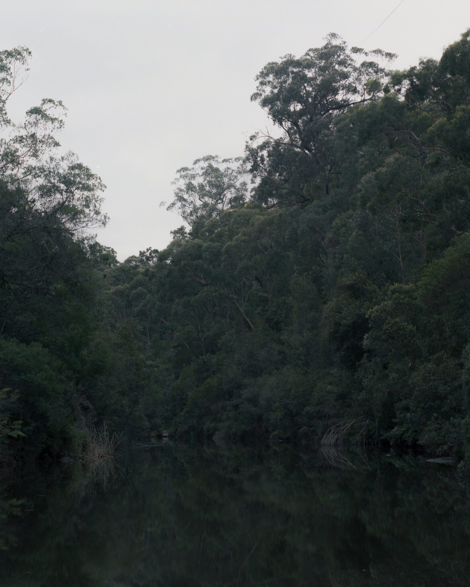 cabbage tree creek ii