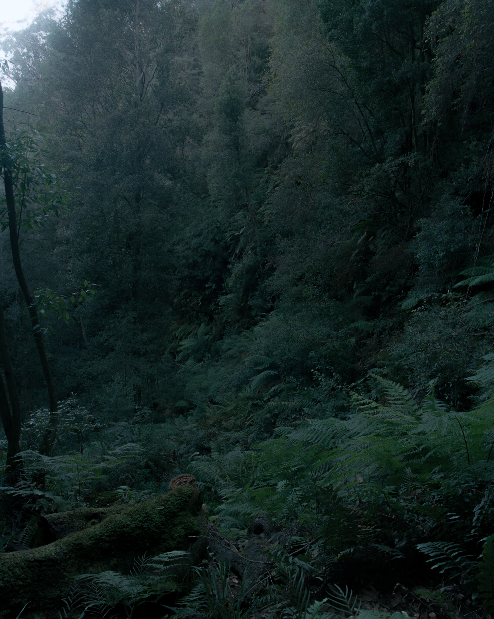 wentworth falls i