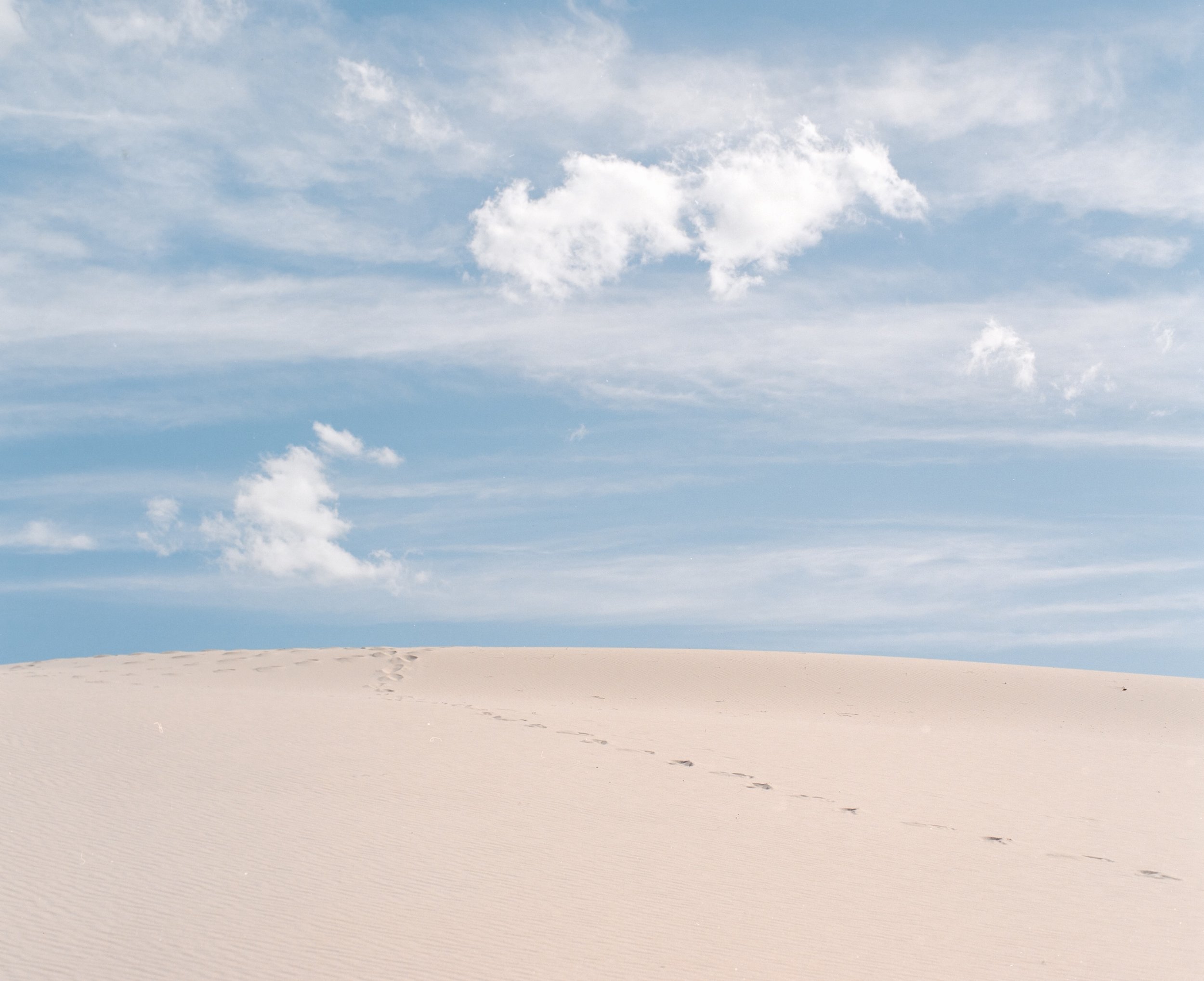 marley dunes
