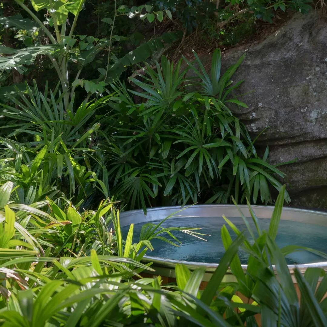 When you stay at Crane Lodge, you can experience a truly unique forest bathing experience in our 38-degree cedar hot tub surrounded by an abundance of nature ♨️

Who&rsquo;s keen on an outdoor soak under the stars? 

Landscape design by @secretgarden