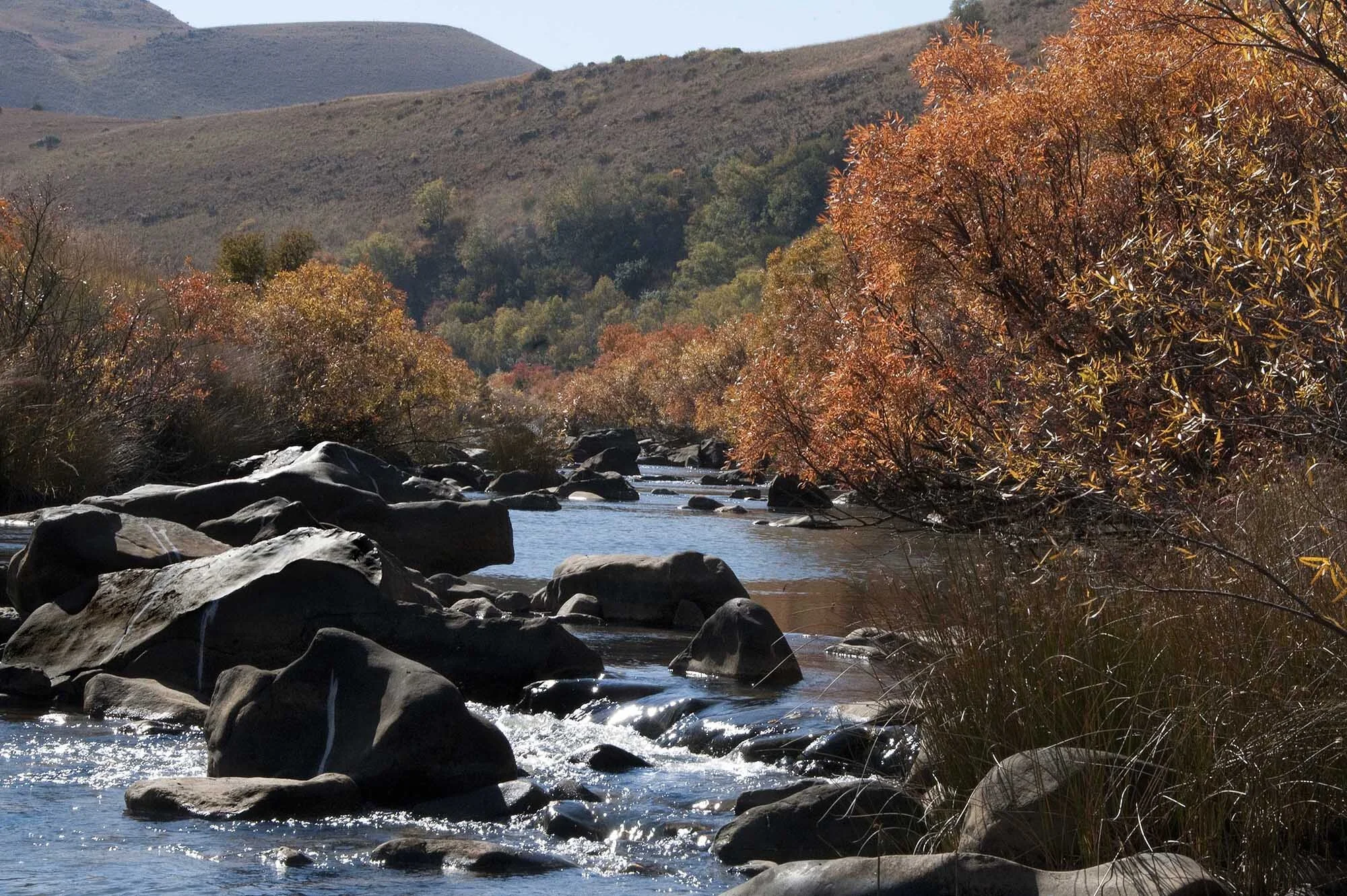 Klingskip RSA sml.jpg