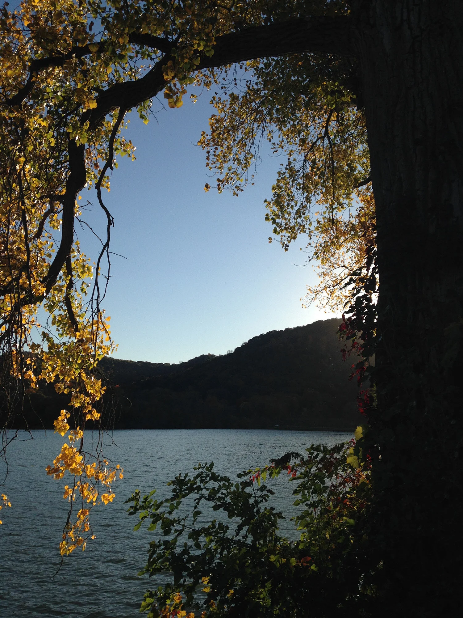 Mississippi sunset sml.jpg