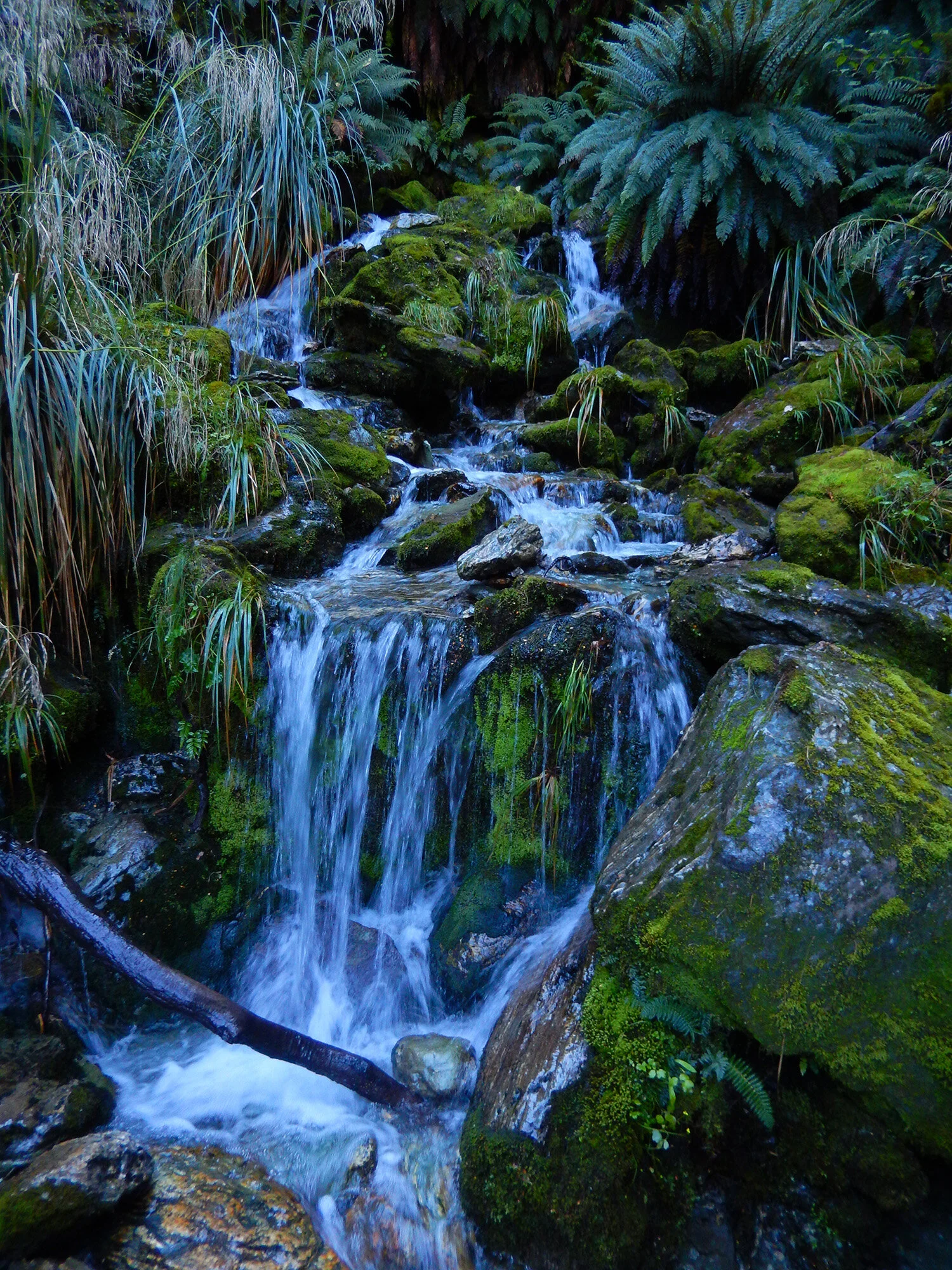 Natural headwater river systems. 
I have been researching spatial patterns of ecosystem structures and processes across many headwater river systems.  The Kanawha River of Western Virginia is one of the few untouched rivers of the USA.  Along with co