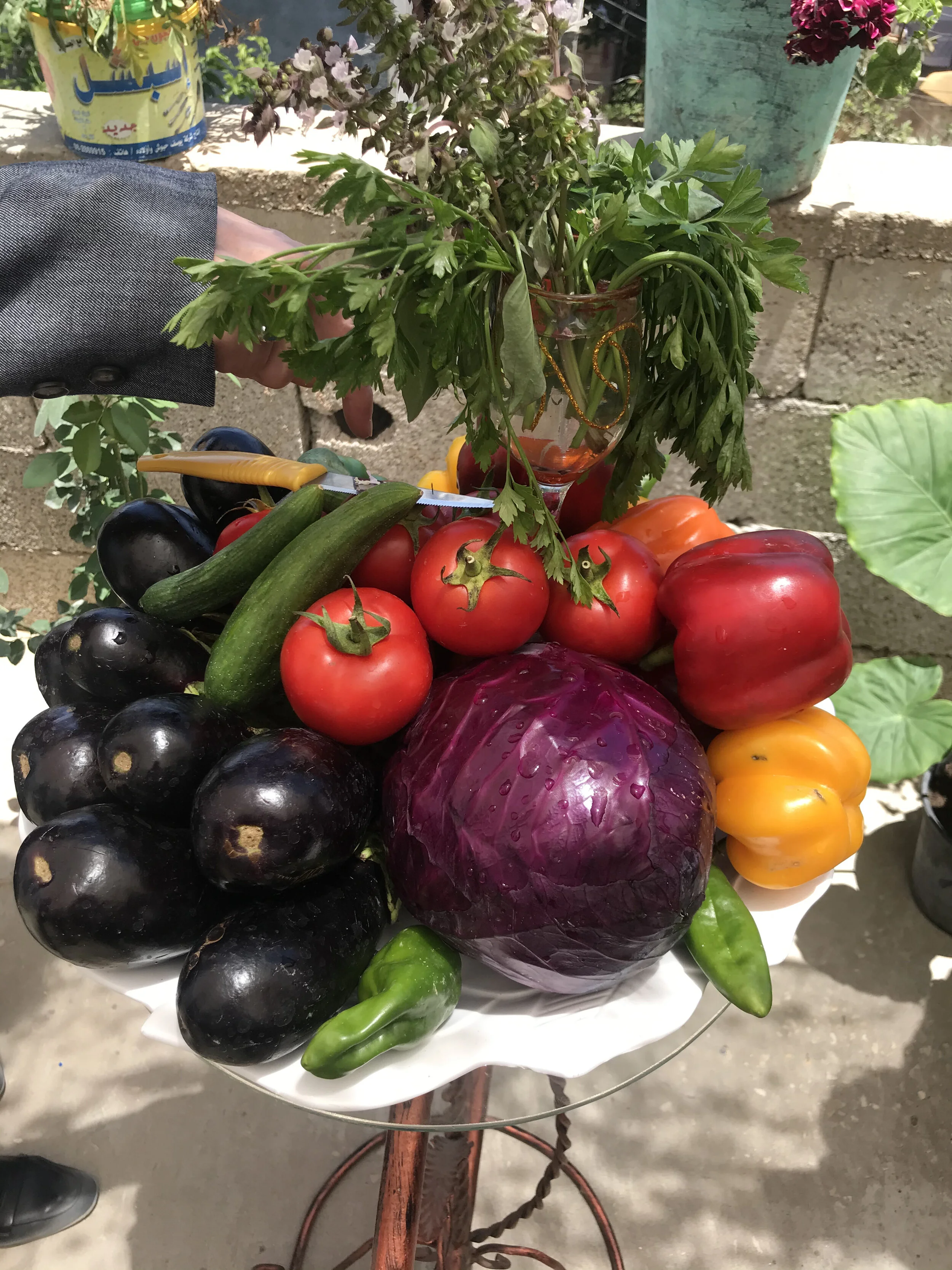 June 2021: Visit to Gaza (Click on photo)