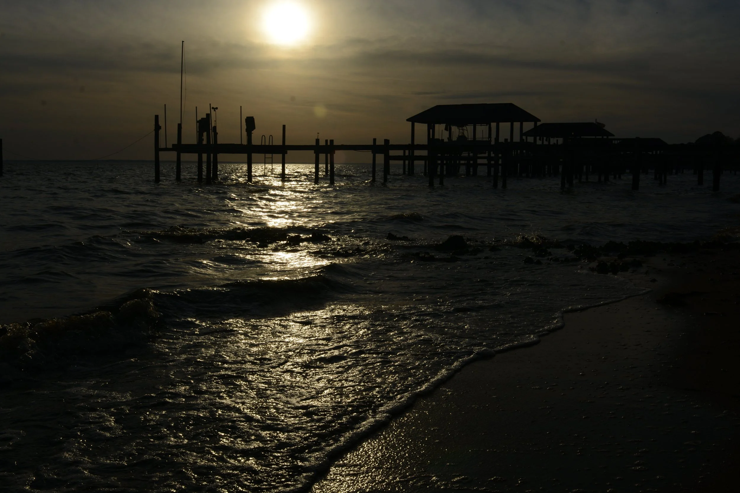DSC_1467.JPG