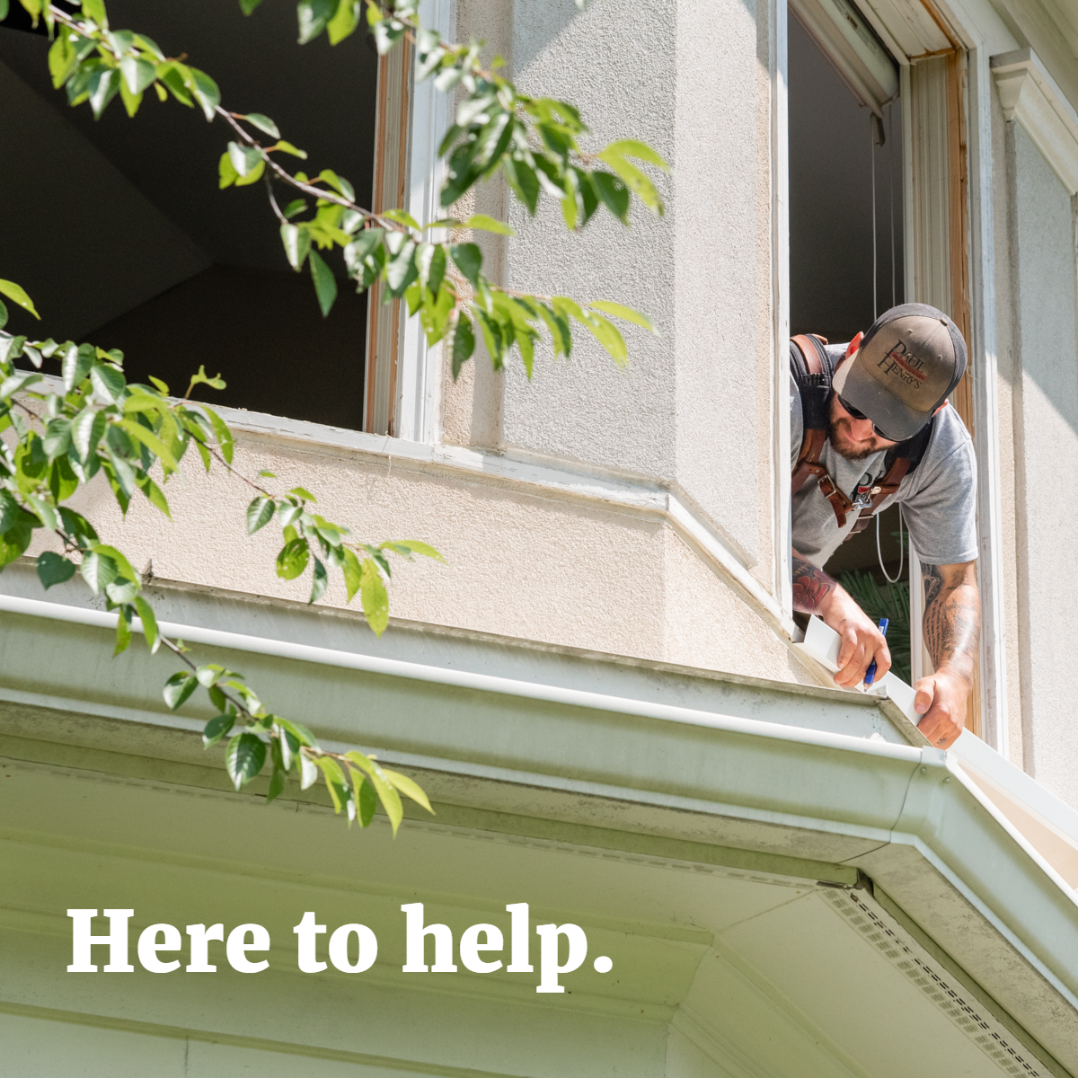 When those windows need updating, you know who to call.