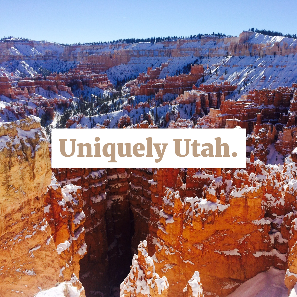 There's no better way to see the beauty of this state than on a horseback tour with us.