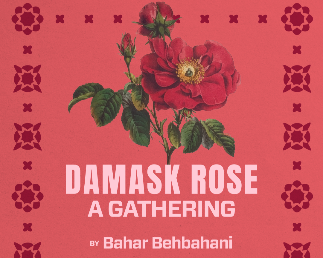 Damask Rose: A Gathering