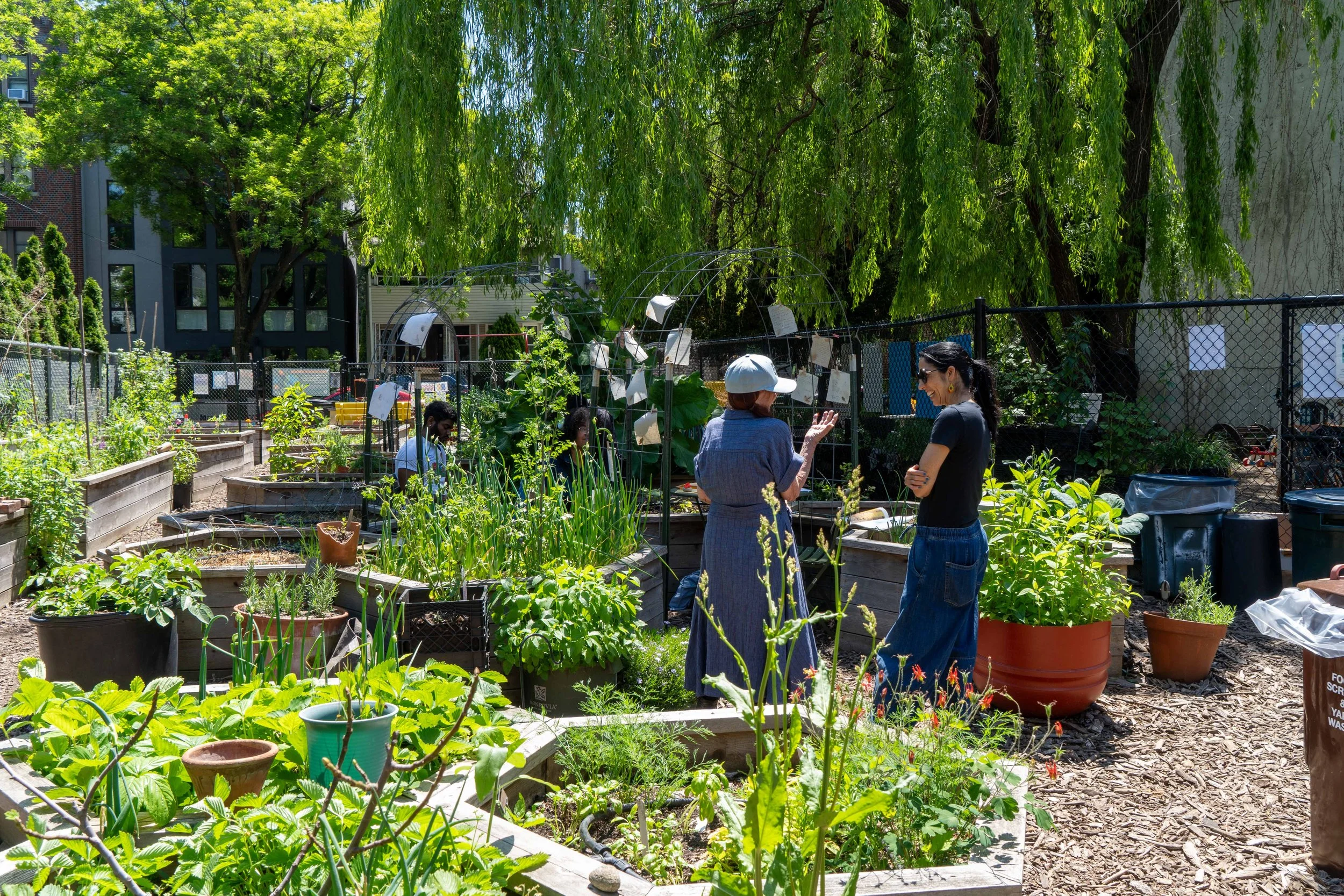 Maple Street Garden May_16_2026-5.jpg