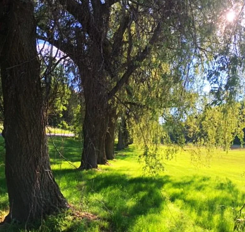 Screen Shot 2023-03-26 at 6.02.29 PM.jpg