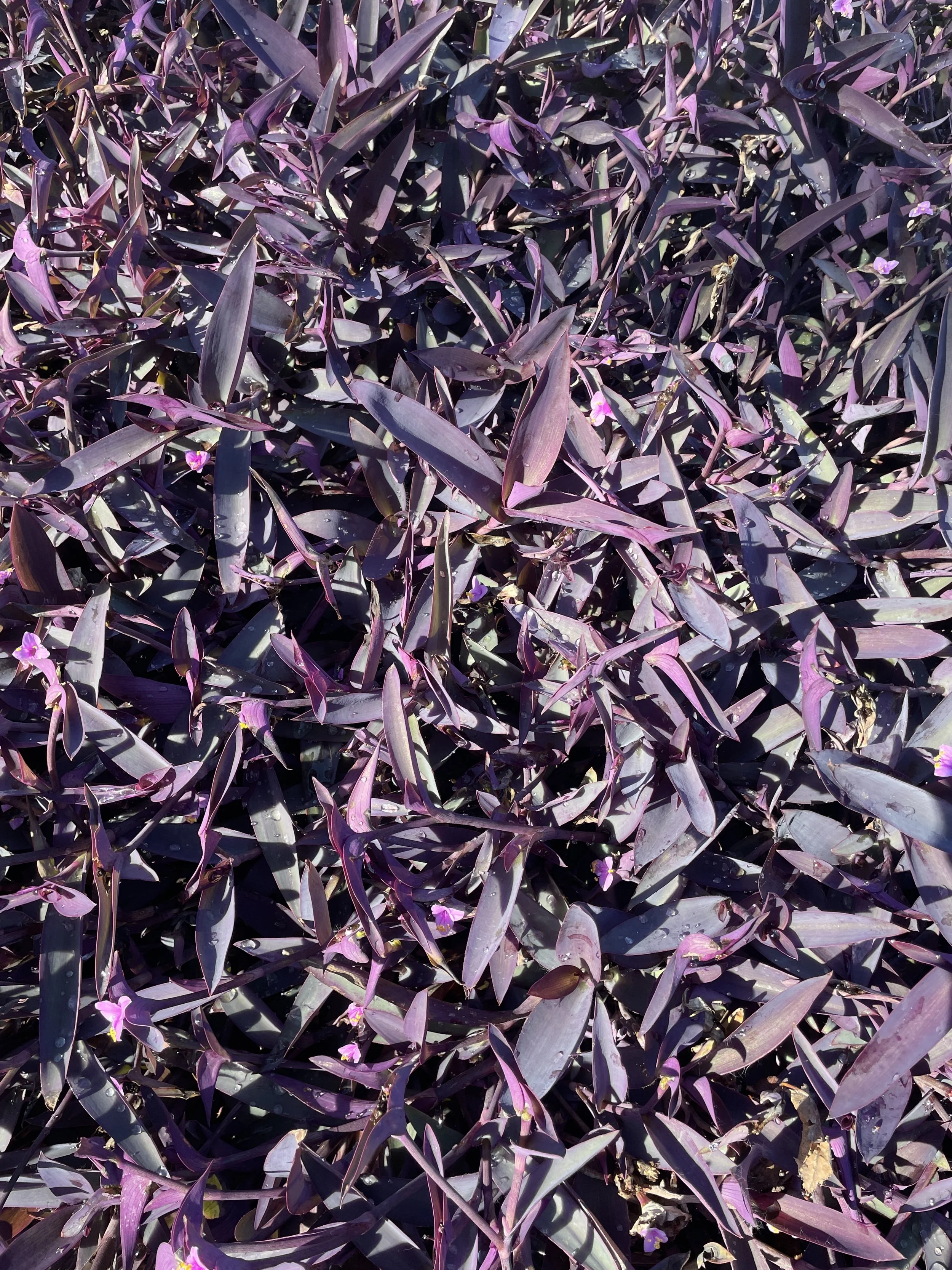 2025 Awards eligibility and wrap up