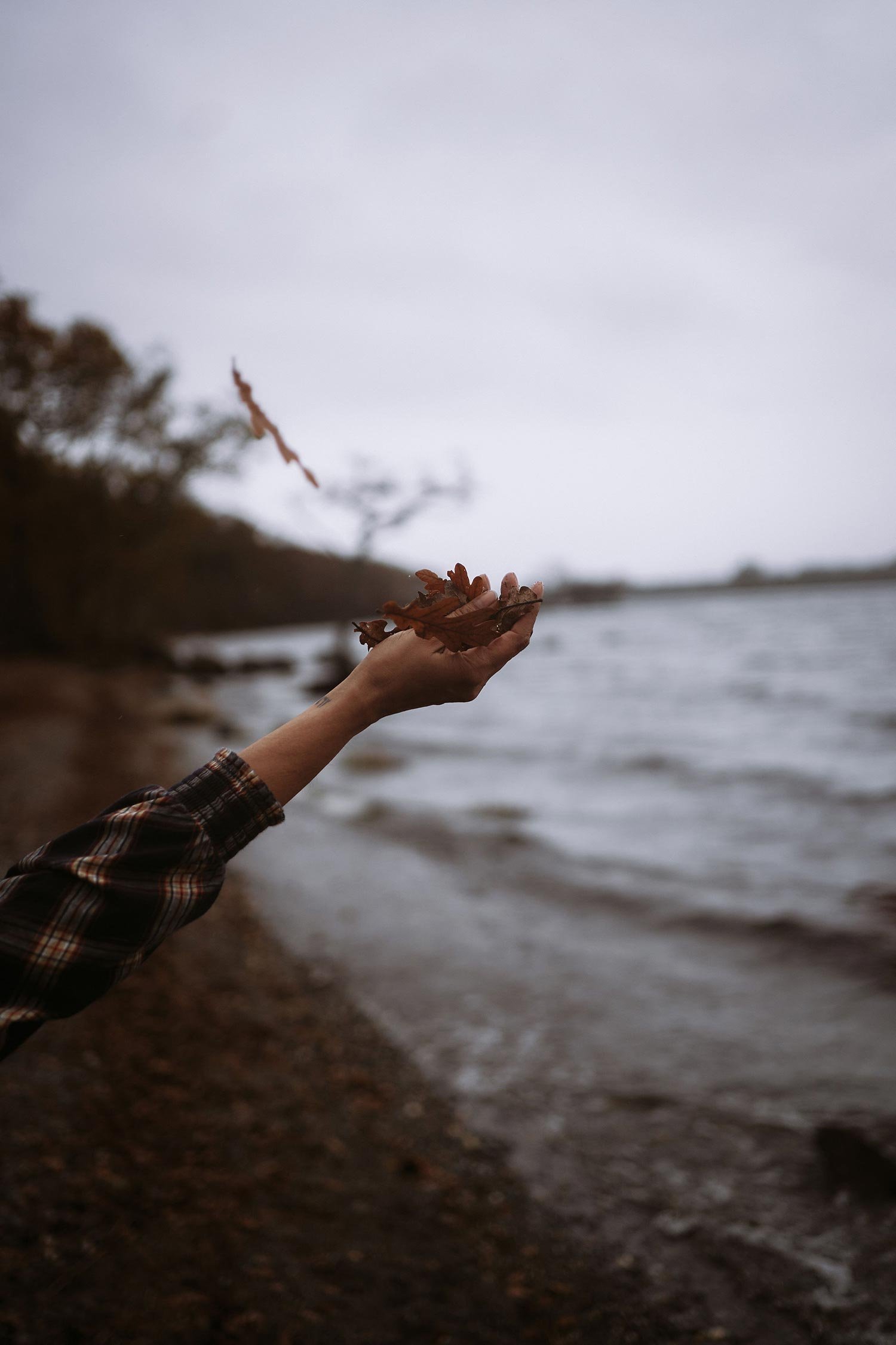 Welcome to THE CRAFT