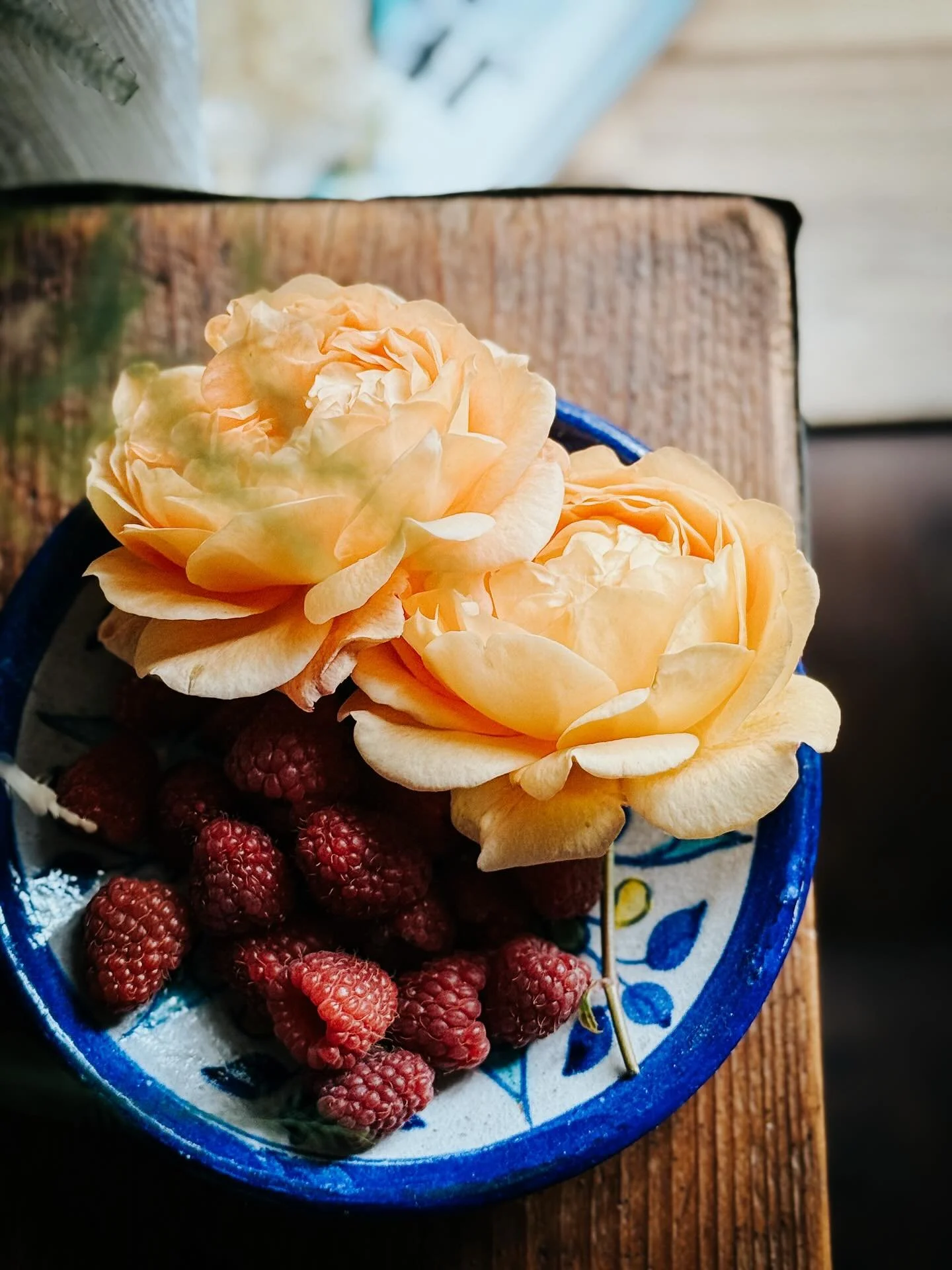 It feels like summer has come and it has taken so much with it. 

I&rsquo;ve been quiet on my feed because the world feels so broken. Yet, to find beauty in moments and nature feels like the gracious act of kindness we all need. 

What small moments 