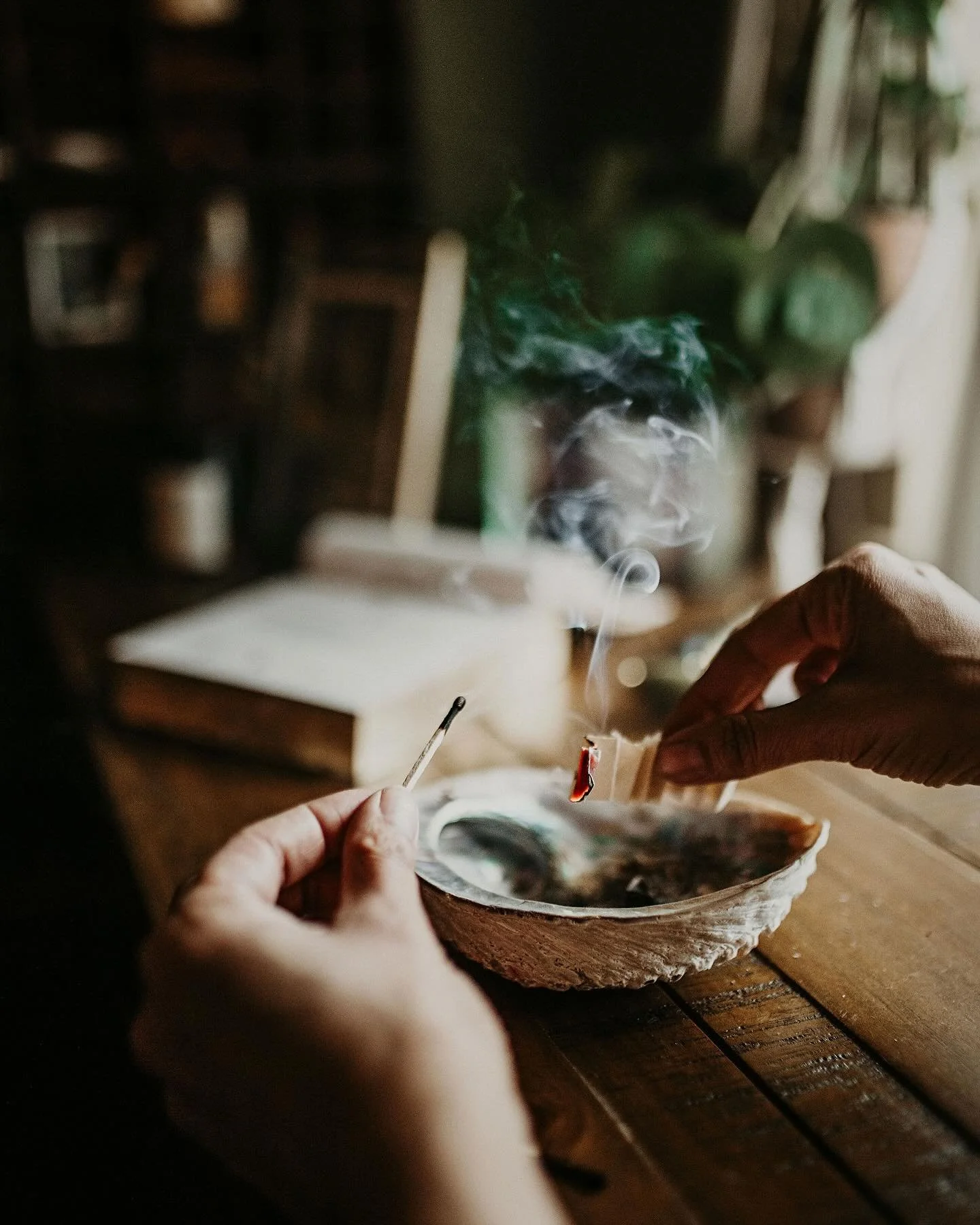 May peace prosper. 

This week has stirred a myriad of emotions. Of imminent loss, of anticipated pain, of history repeating itself in a modern world. What would it have meant for India and Pakistan to go to war, what would it have meant for us, the 