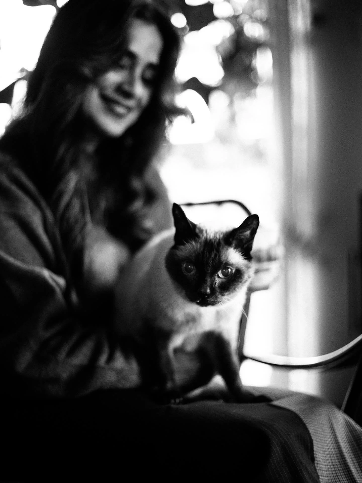 You&rsquo;ve been gone a year today. Each day I think of you. Each day I remember the way I opened that door in a Karachi apartment and saw your little Siamese face pop out of a brown basket. 

I was deeply unhappy in a marriage that nearly broke me 