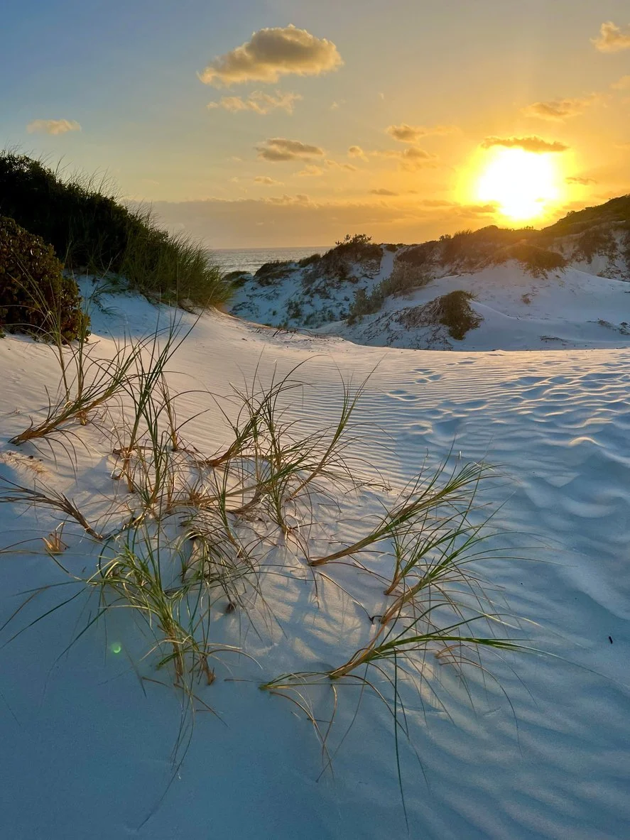 Winter Solstice website photo.jpg