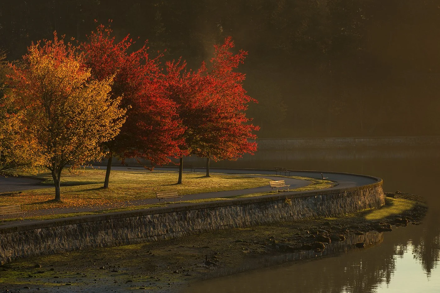 1_Jason Duncan_Seawall Autumn Sunrise copy.jpg