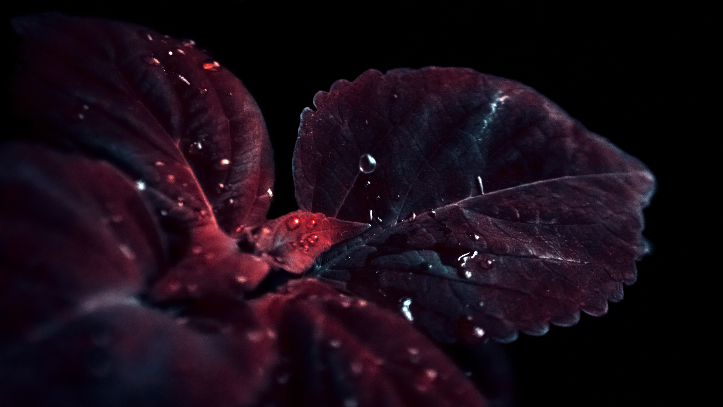 DSC06238.png