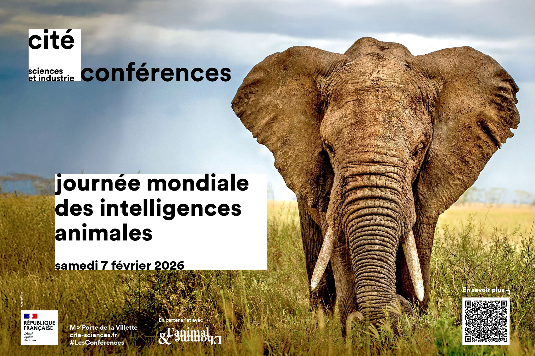 programme en cliquant sur l'affiche