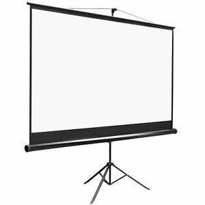 100 projector screen.jpg