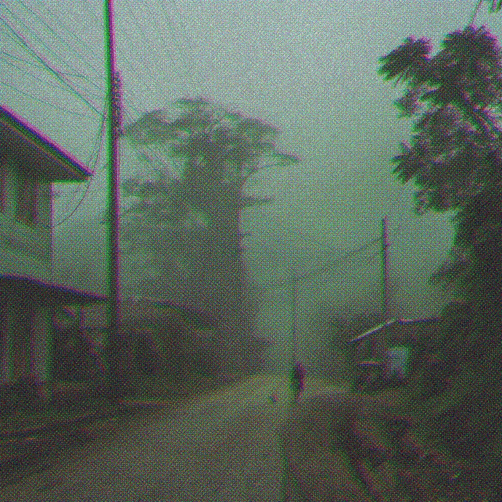 Brave movements in the fog that is the fear of being alone 

Second single this week!!