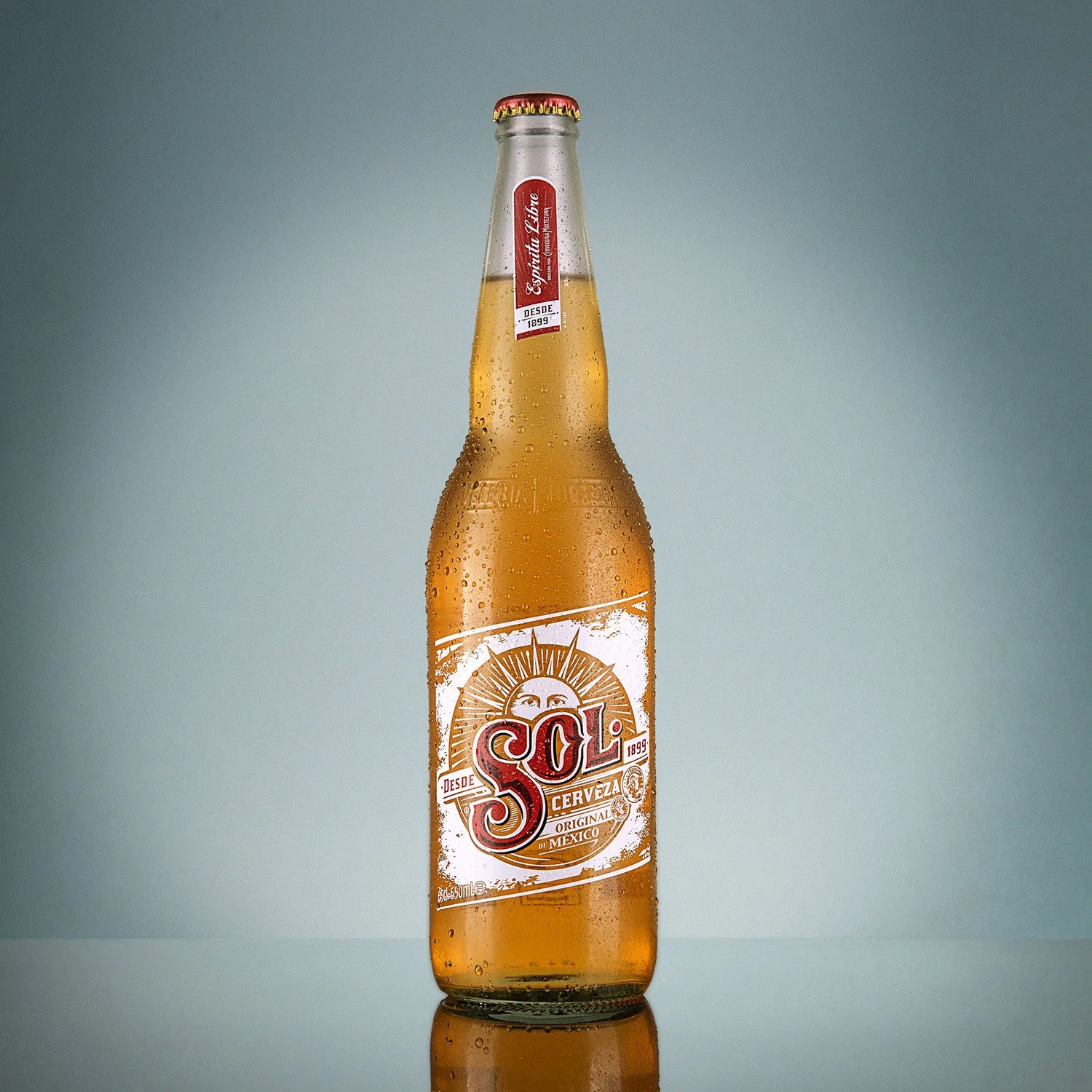 minimal hero product shot with a single bottle of sol beer on a grey graduated background on reflective surface