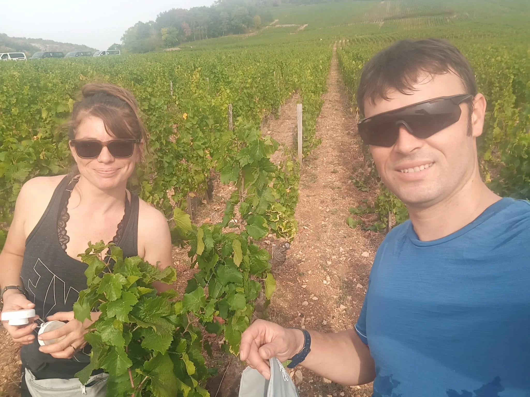 *** VENDANGES EN BOURGOGNE ***

🍷JOUR 2
-> Nuits saint Georges &amp; Vosne Roman&eacute;e 

Au d&eacute;jeuner, d&eacute;gustation de Vosne Roman&eacute;e 2021 ❤️

#followers #vendanges2026 #2021 #bourgogne #dégustationdevins 
#bourgogne #dégus