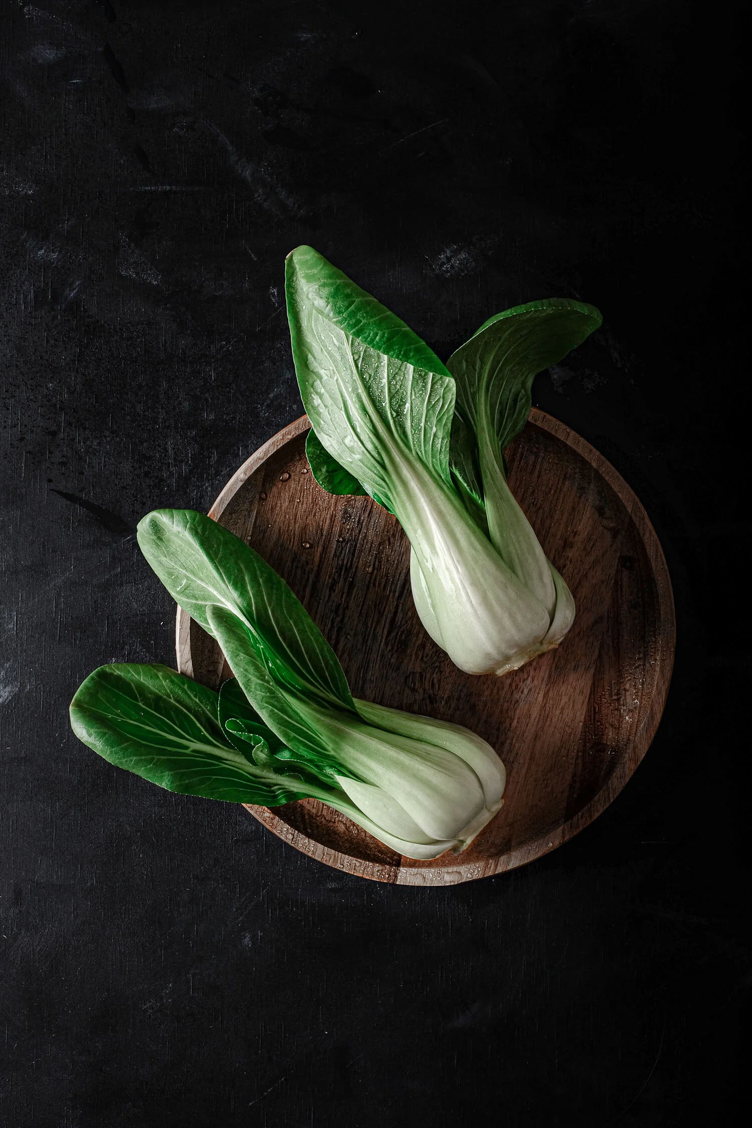 monica rosano'-59.jpg