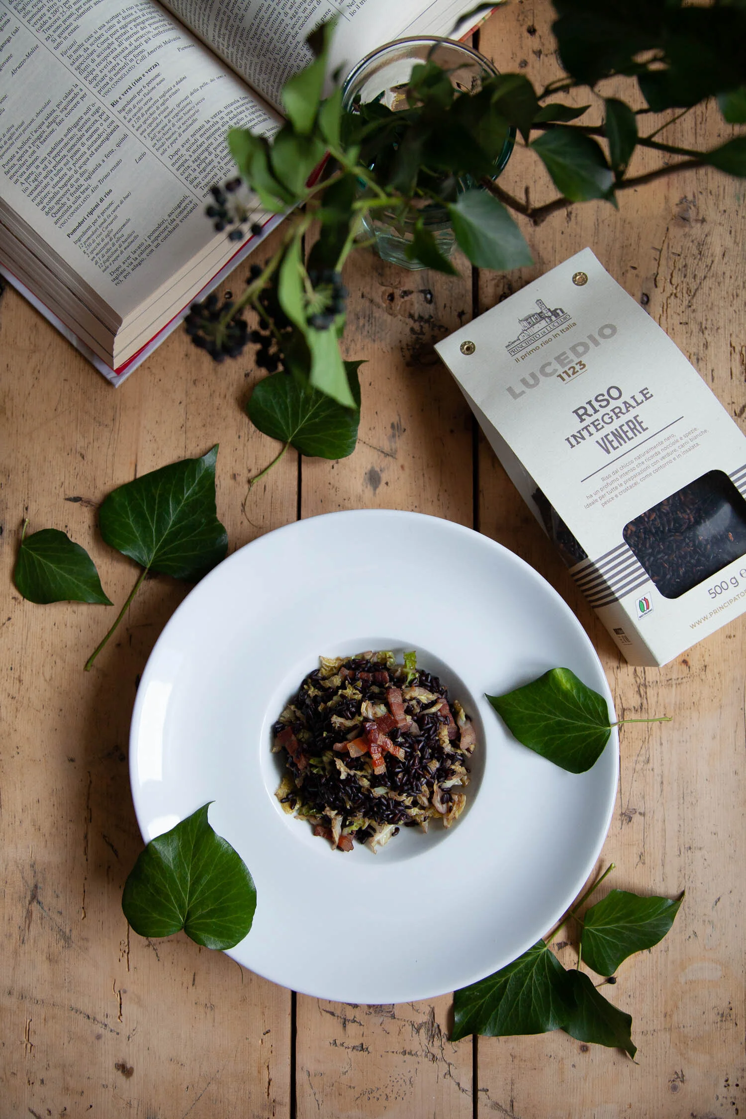 monica rosano'_lucedio.jpg