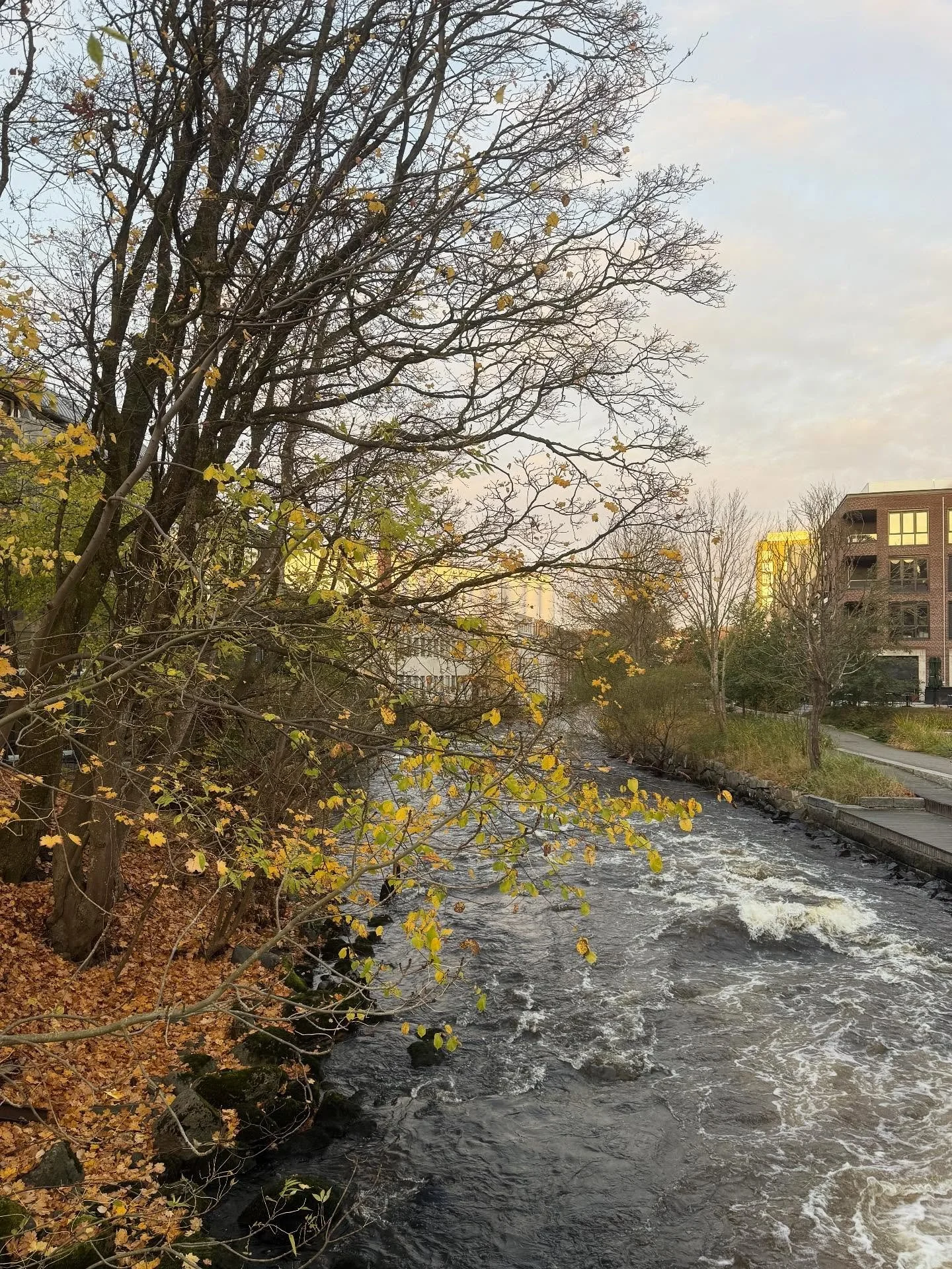 Har du et morgenmøte med kollegaer for å planlegge dagen? Hva med å ta en Walk & Talk? Benytt bybildet og gå dere en tur mens dere snakker og planlegger. En perfekt start på dagen - frisk luft og litt ekstra aktivit