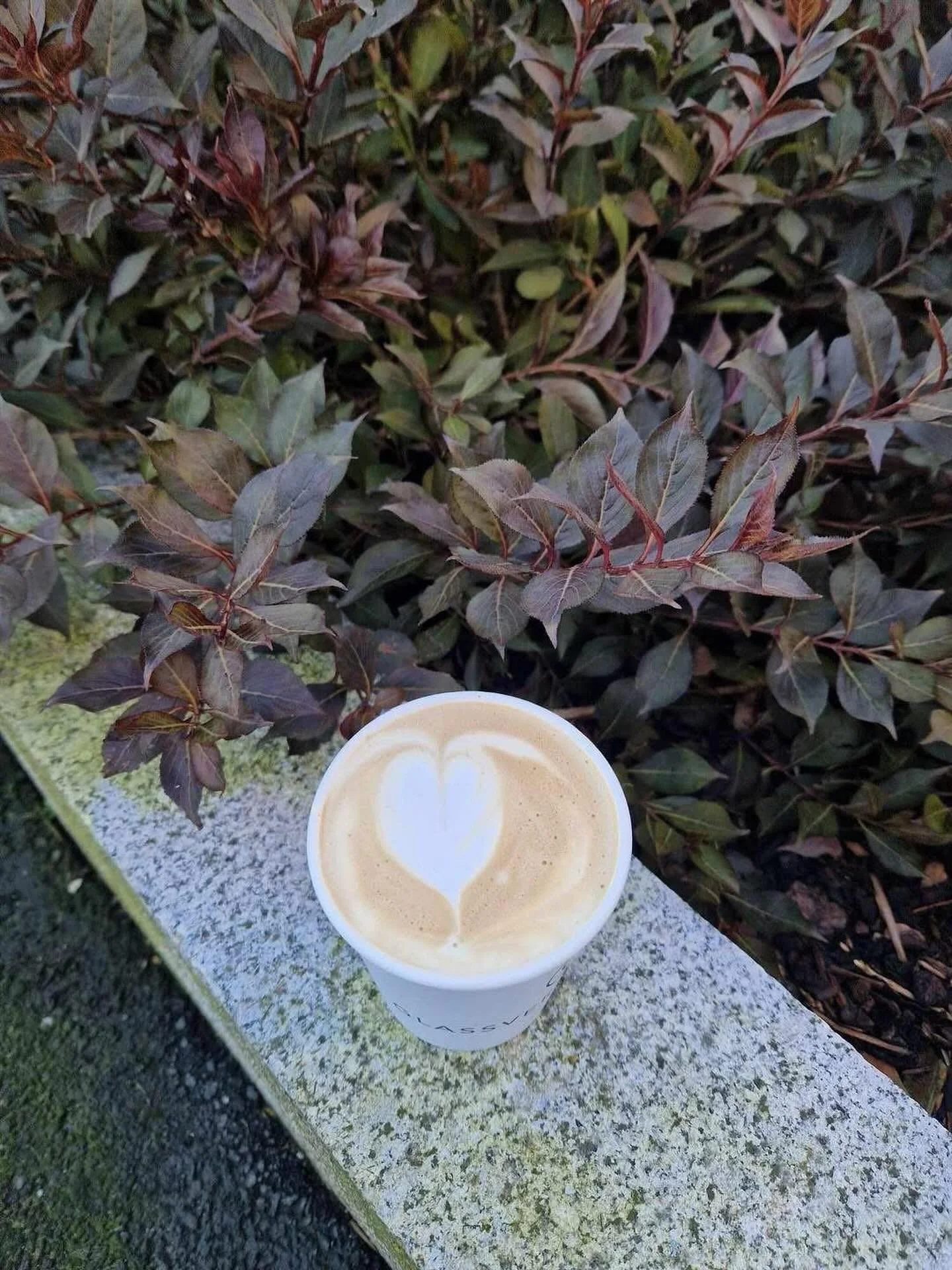 Syns du høstkulda kommer snikende? 🍂 Hva er vel deiligere enn en god kopp kaffe, te eller kakao? ☕ Gå innom noen av byens mange steder og få varmen i kroppen! 🌟
#elskermoss #byliv #mossavis #mossisentrum #byliv #habdlelokalt #h&