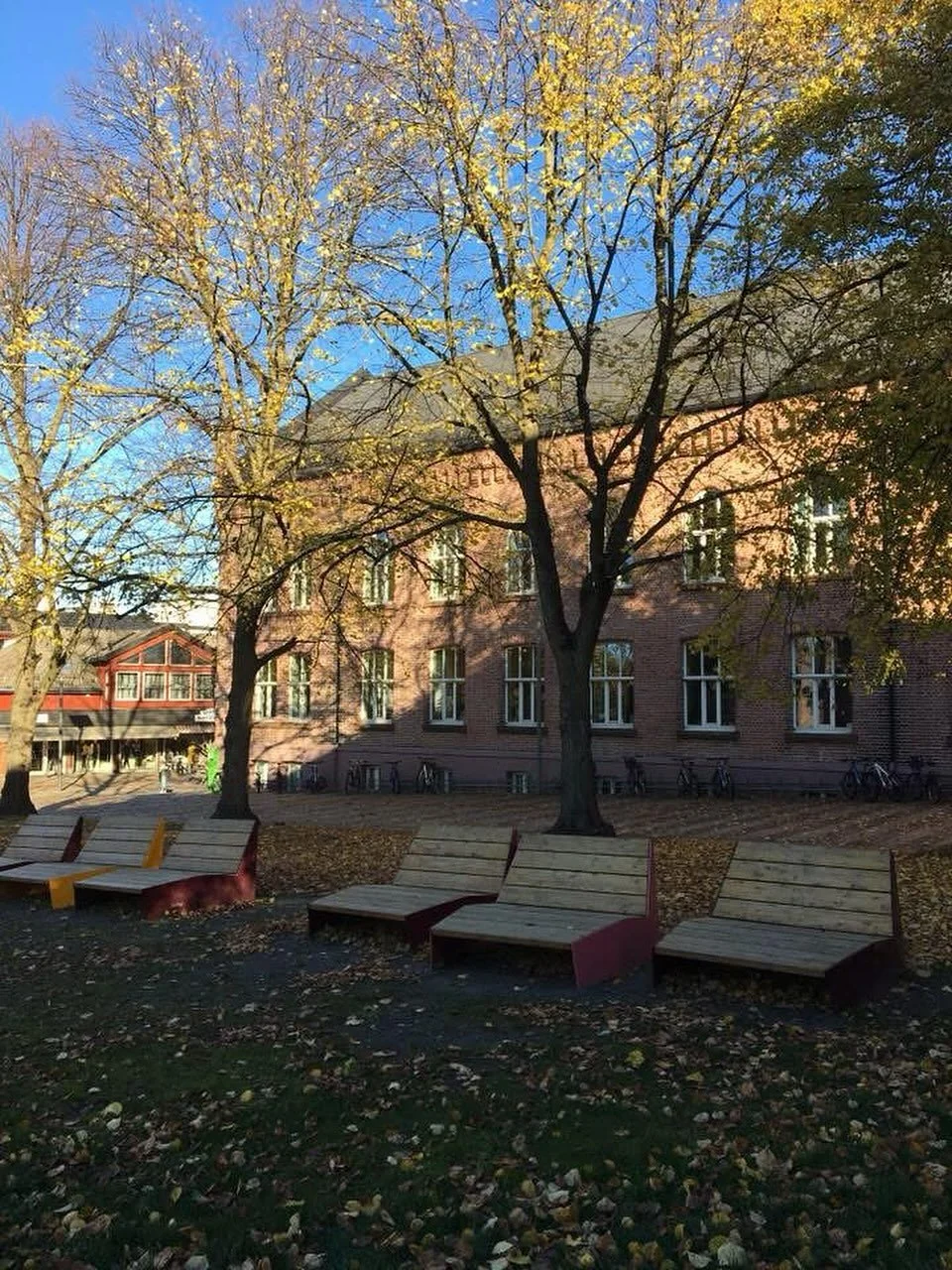 🍁 N&aring; har h&oslash;sten virkelig satt sine spor! 🍁 
Butikkene bugner av deilige h&oslash;stplagg! Varme gensere, skjerf og og st&oslash;vler, alt du trenger til kj&oslash;ligere dager 🤩

#elskermoss #byliv #h&oslash;st #mossisenrrum