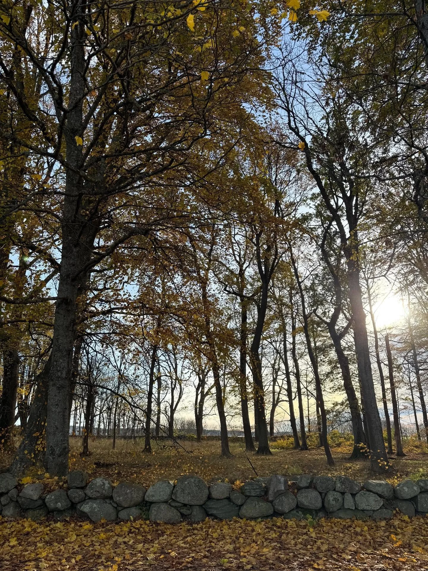 Fredag og snart helg! God helg alle fine f&oslash;lger💕 

#mossavis #mossisentrum #alby #byliv @visitostfold_official @gallerif15_og_momentum